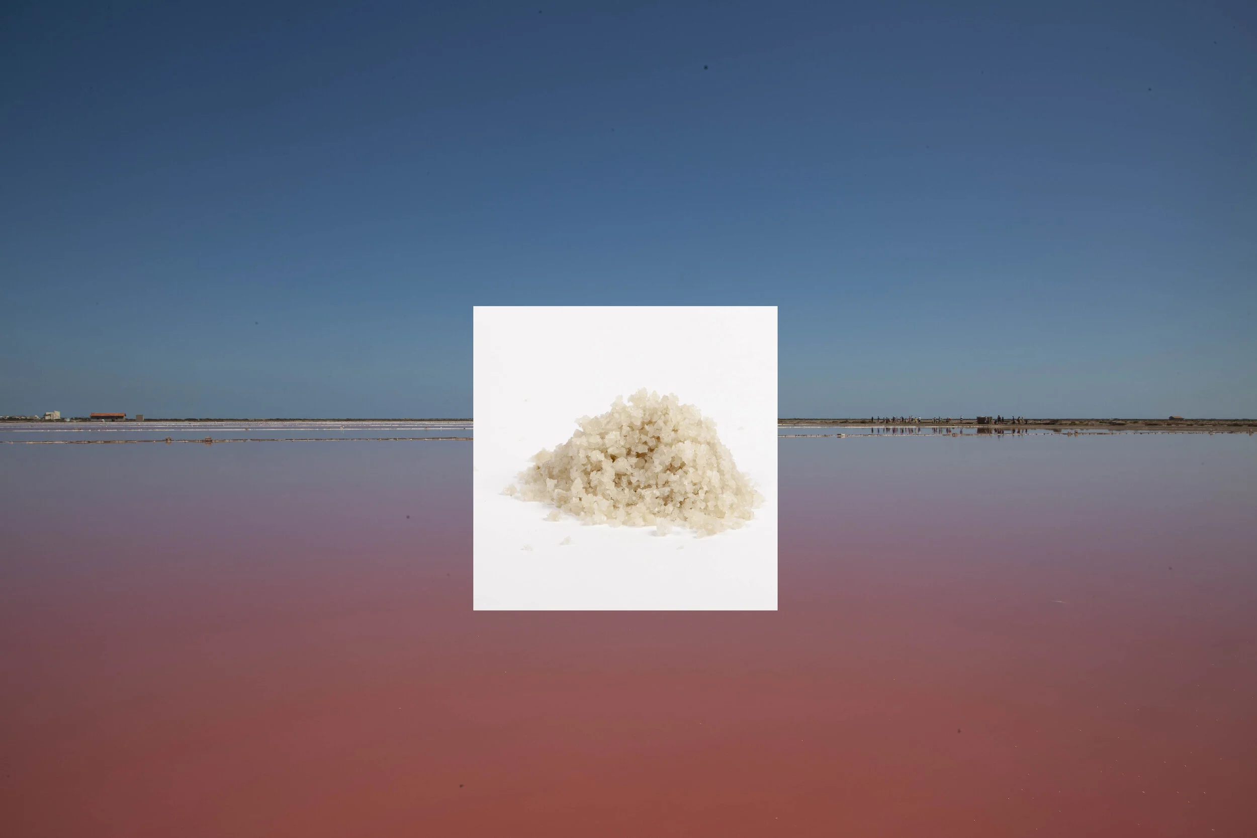MatierePremierePourPaysage_006.jpg