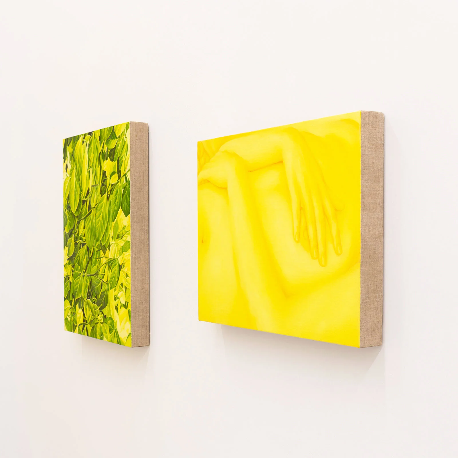 Installation 1ST FLR APT PRACTISE Gallery 2019