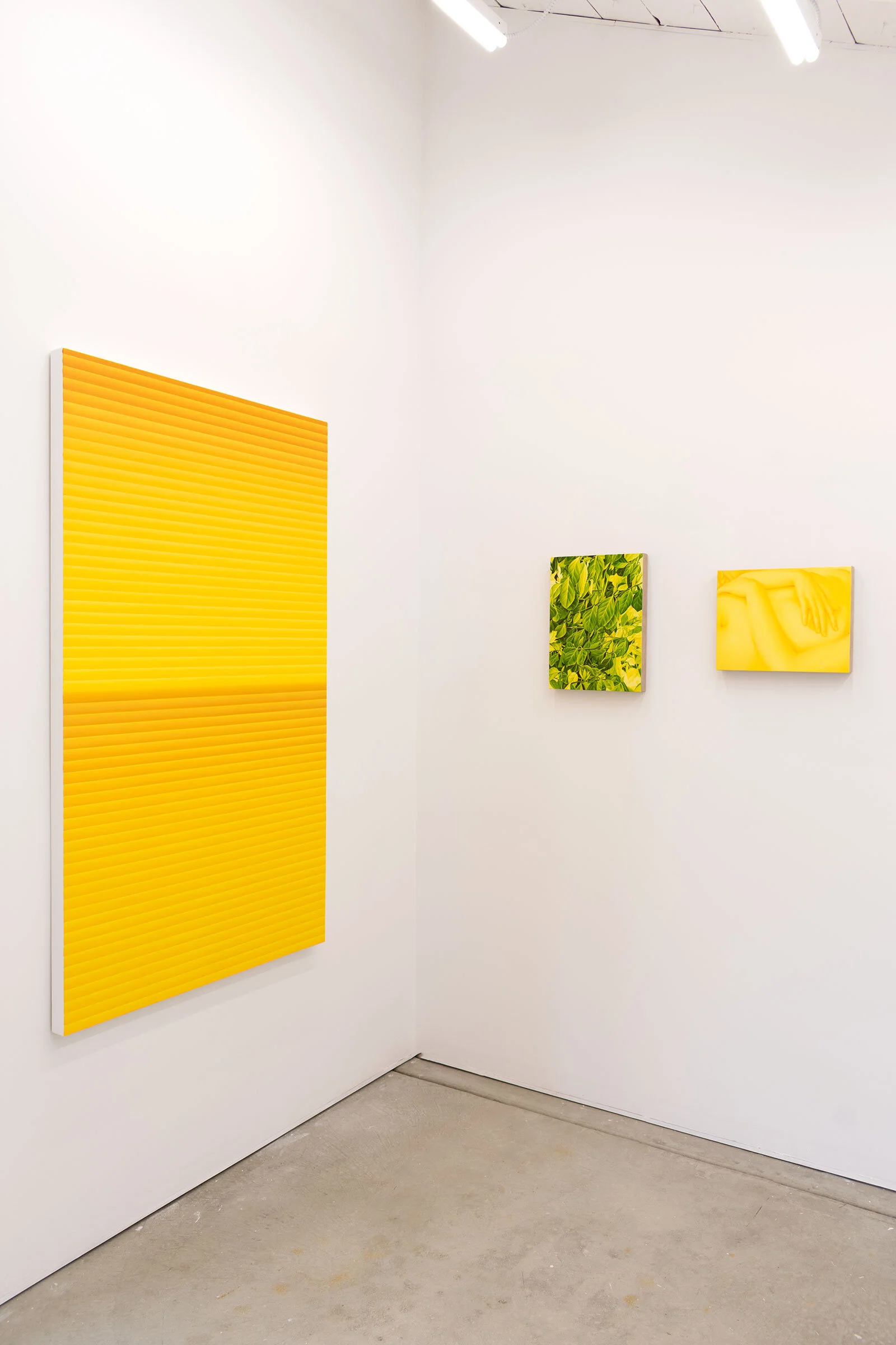 Installation 1ST FLR APT PRACTISE Gallery 2019