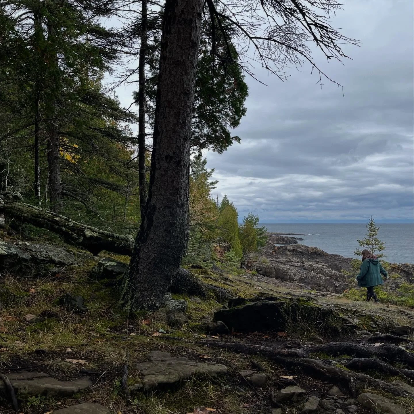 I&rsquo;ve decided to revive this account by posting a photo dump from over the last year 💖

I&rsquo;m hoping to create a more authentic space where I can post about the personal, creative, fun, and whimsical things I&rsquo;m up to. ✨🍄&zwj;🟫

If t