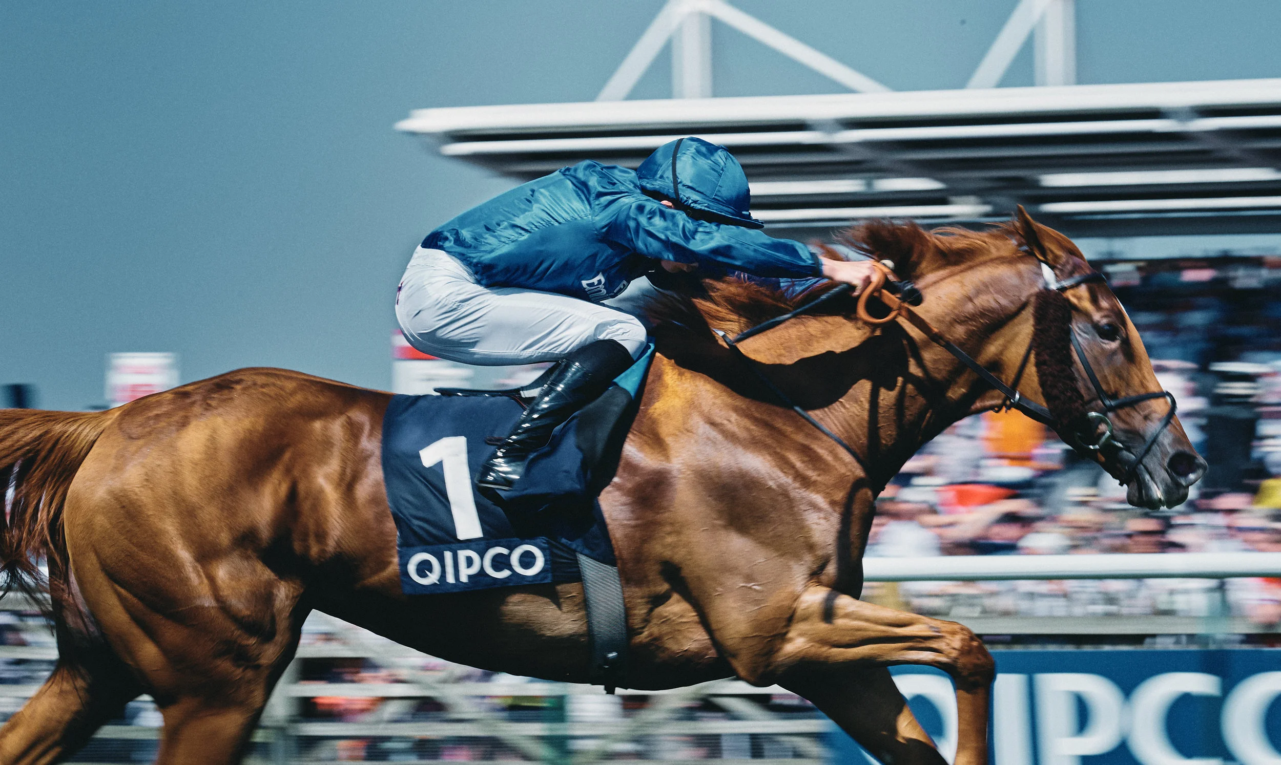 RB_Guineas_05_05_18_Card3_0378 1.jpg