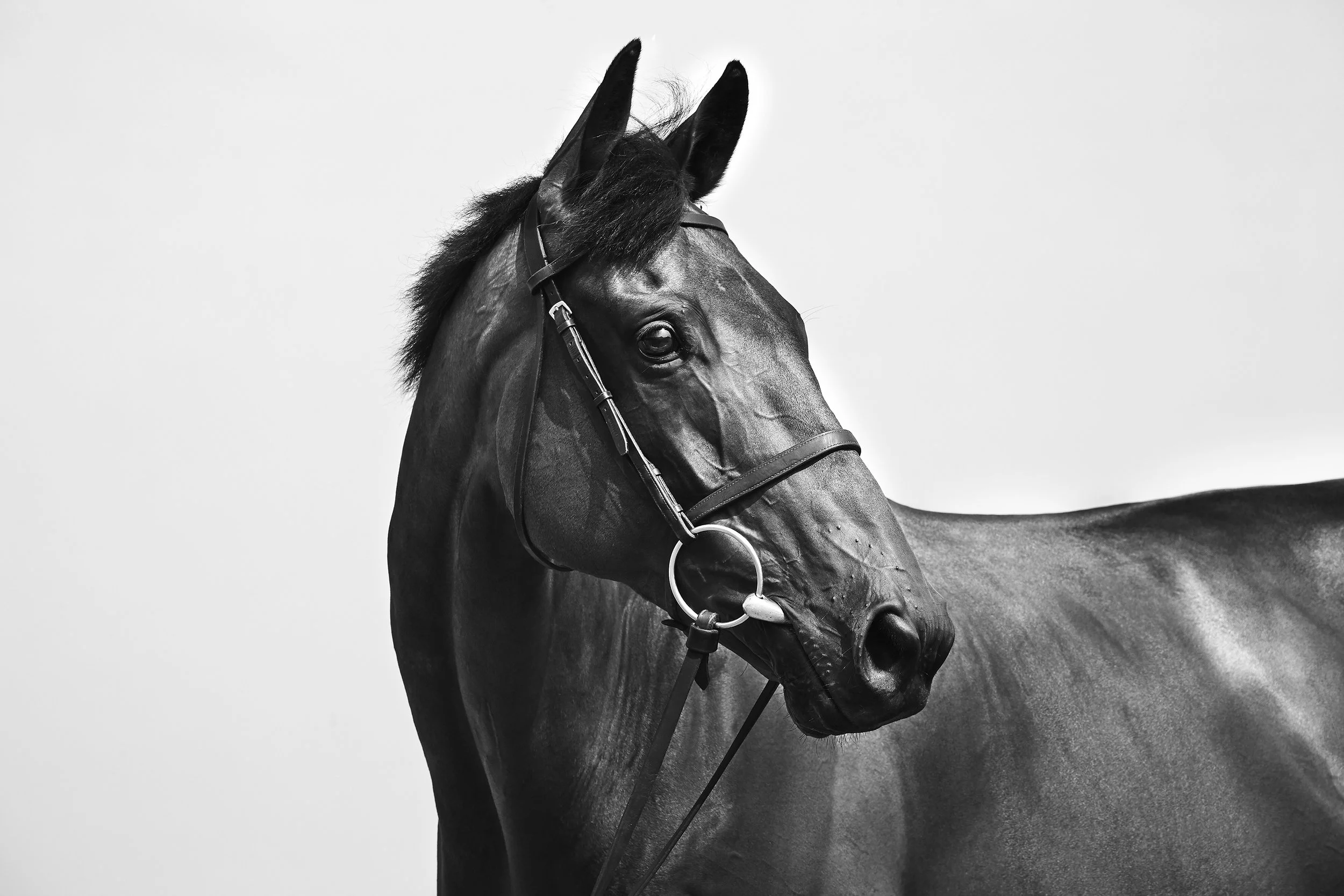 HF_BAILEY_13_07_18__0350 3.jpg