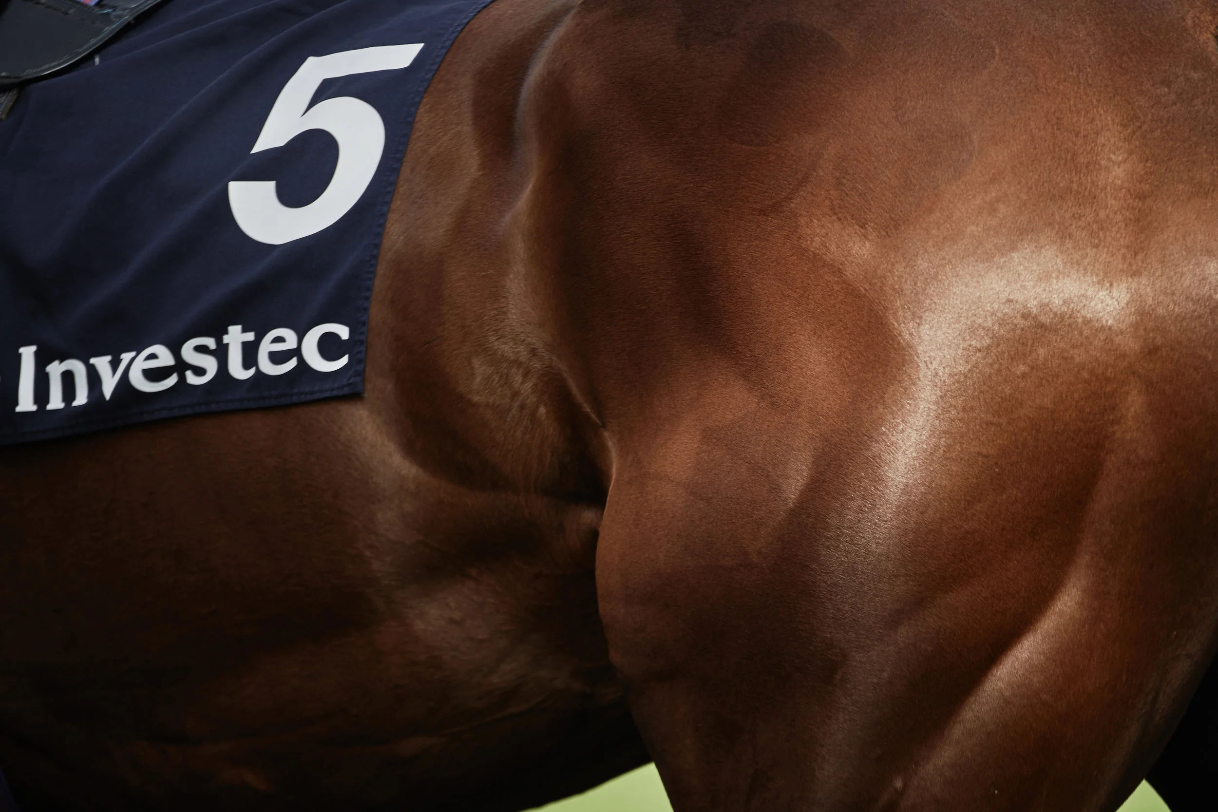 Epsom_Derby_180601_RC_HF_1898.jpg