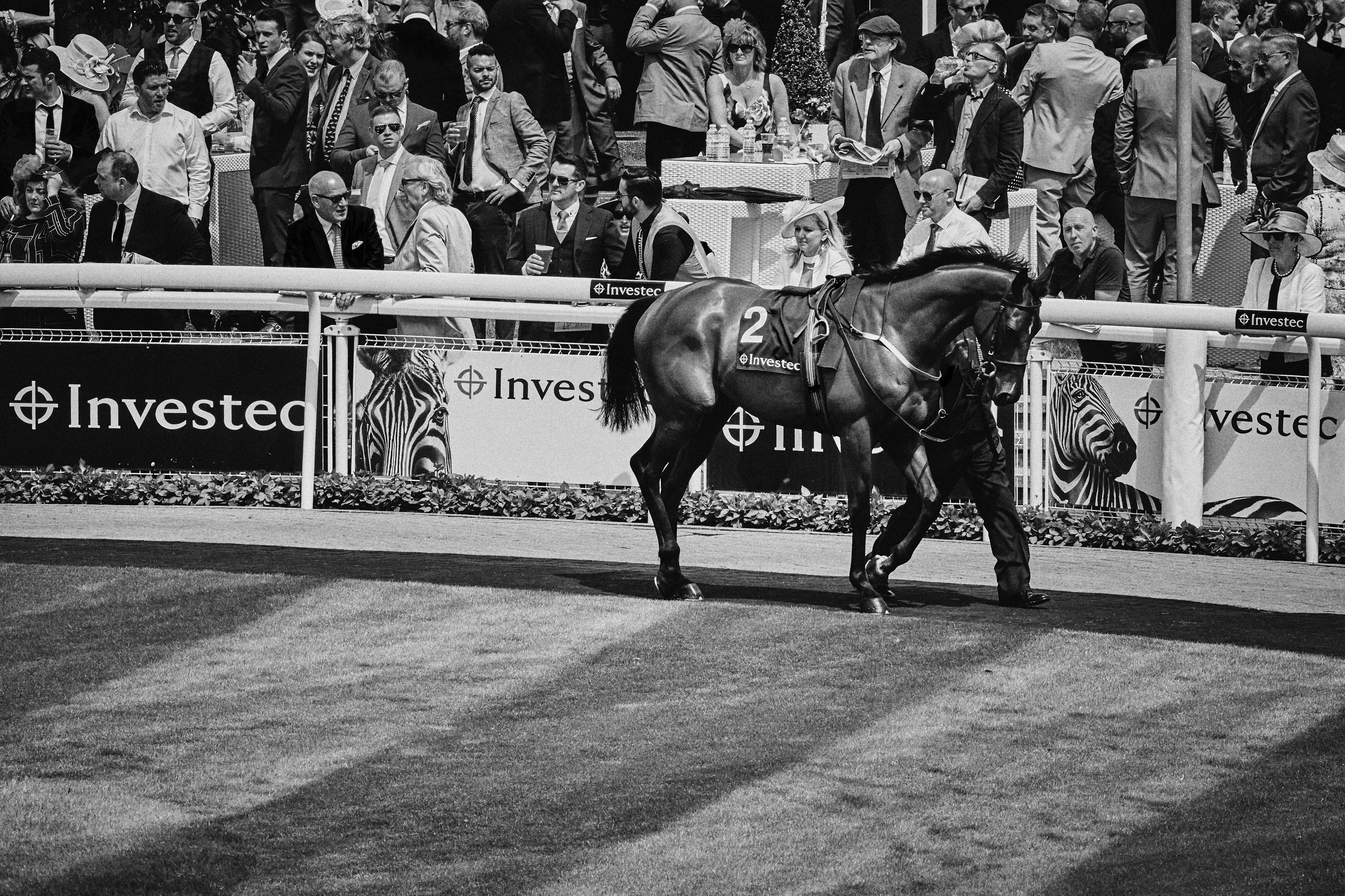Epsom_Derby_180601_RC_HF_2967 1.jpg