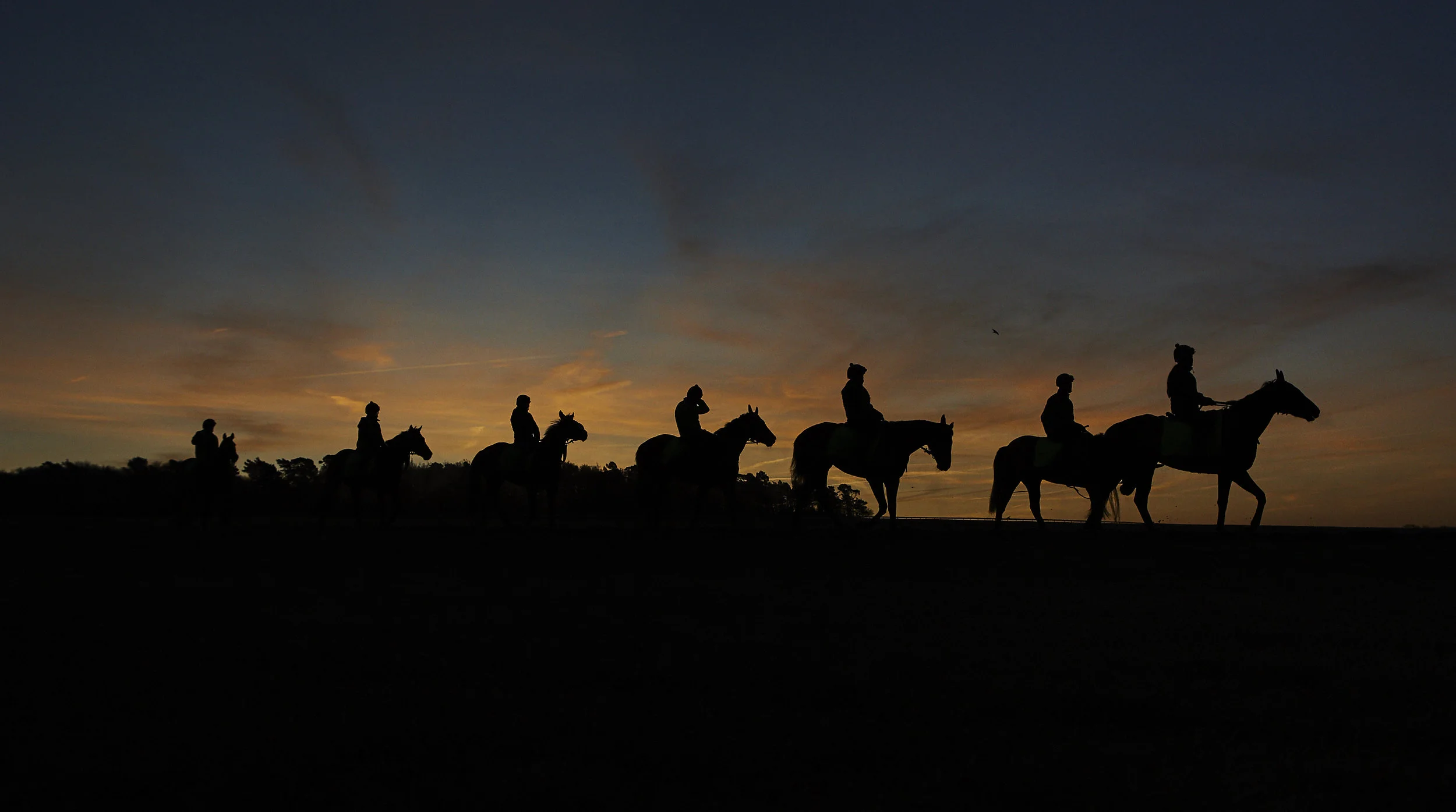 RB_BOTTI_18_12_17_CARD1_0220 1.jpg