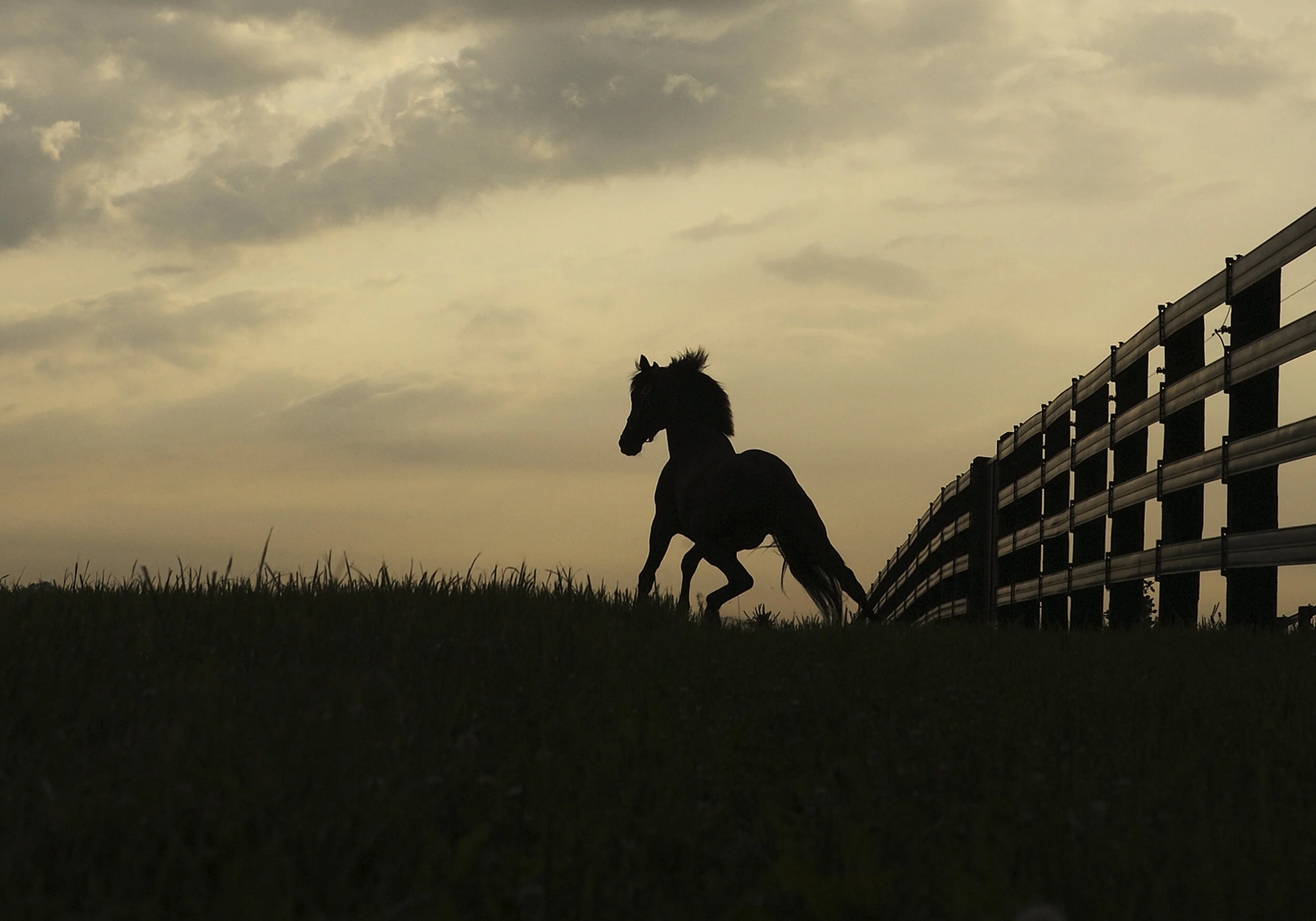 Elu_Qual_27_06_11_PD_0102 Crop.jpg