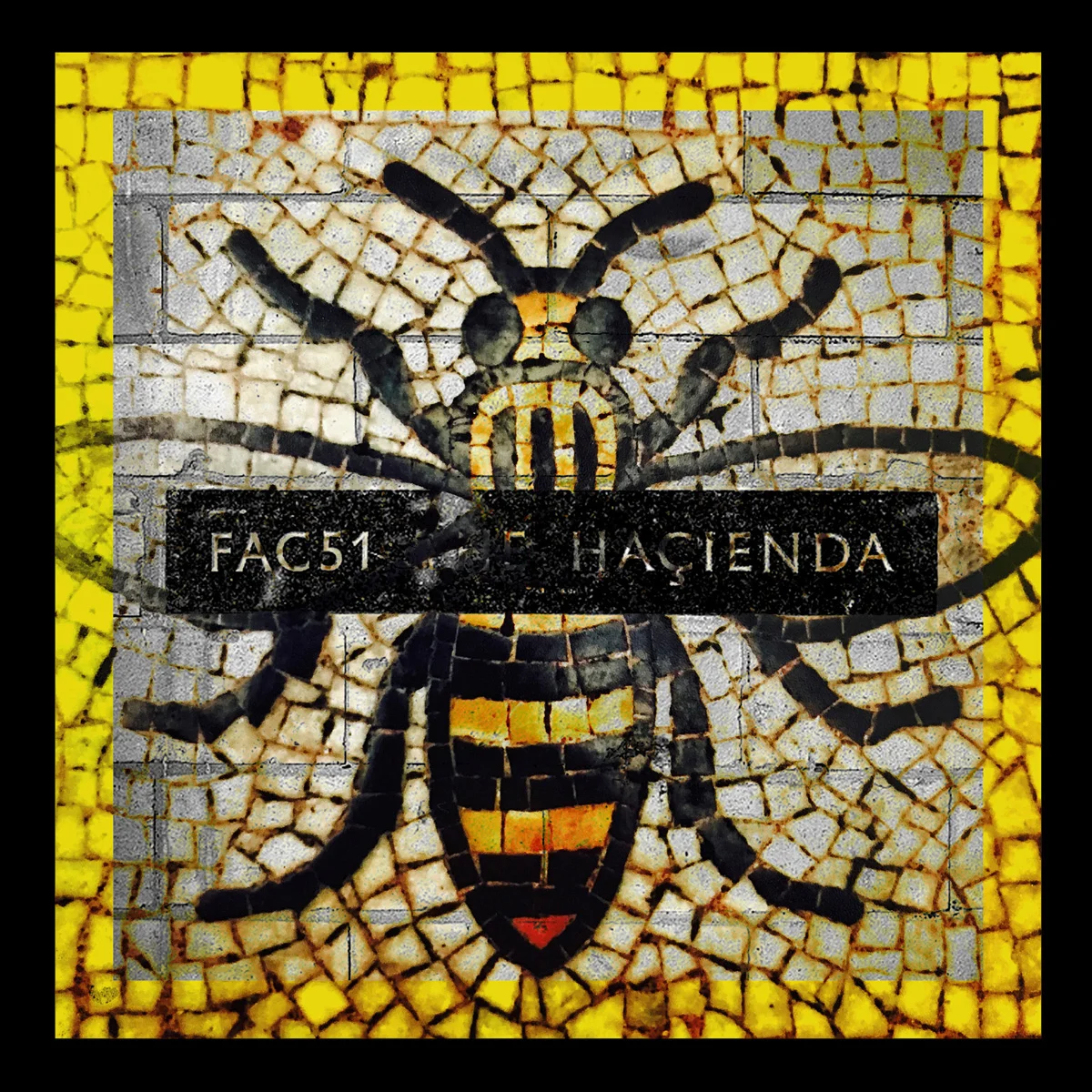 Haciendabees12x12Web.jpg