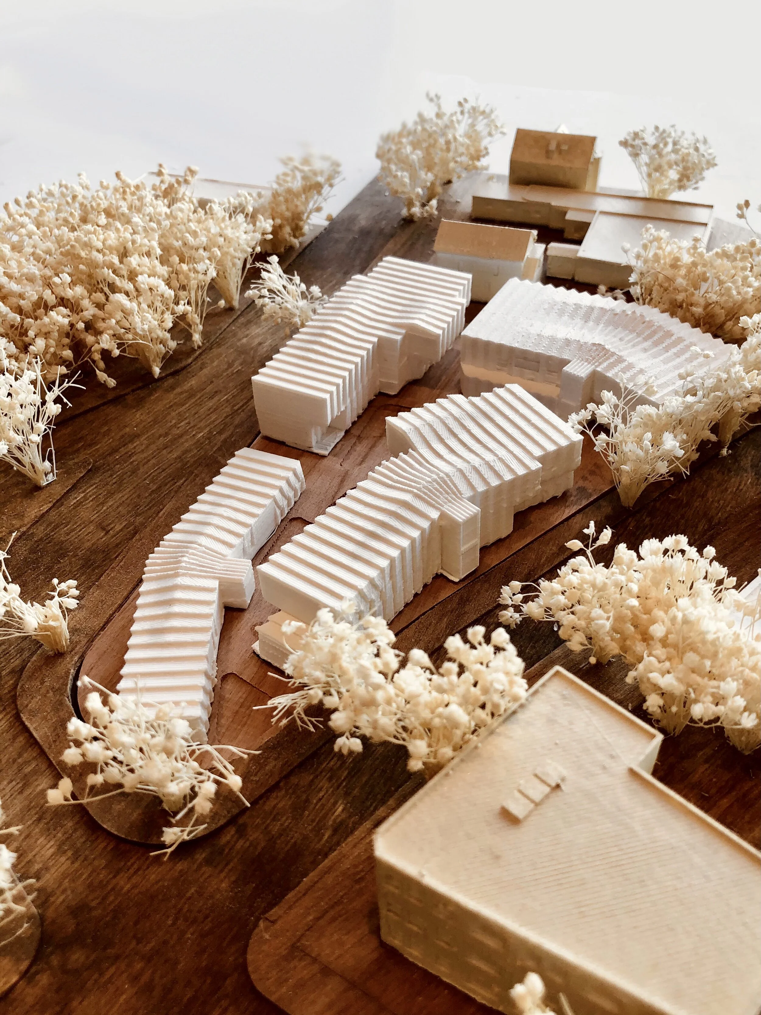 Image_4 2020-12-07_16-39-19.jpeg