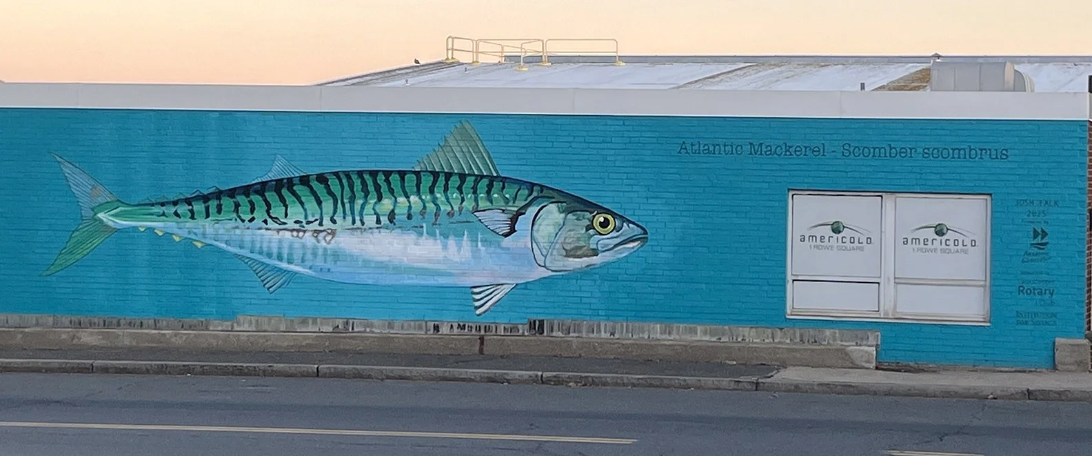 Holy Mackerel - 2025, 60' x 9', Acrylic on Masonry