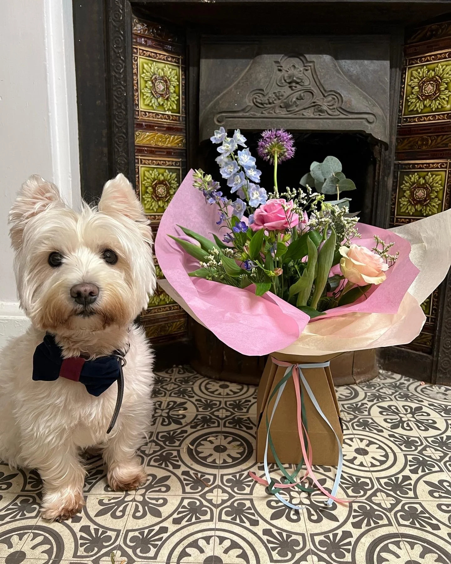 Sophia's Colourful Mix Bouquet