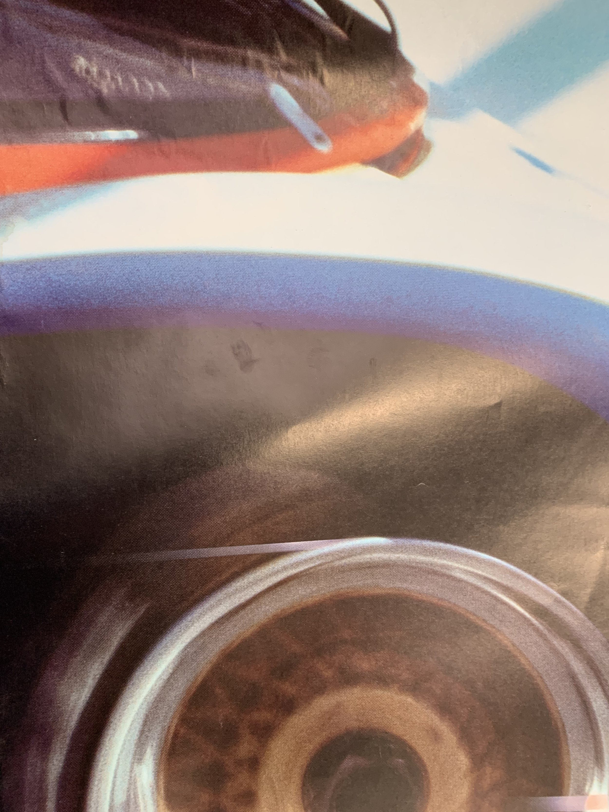 image00047.jpeg