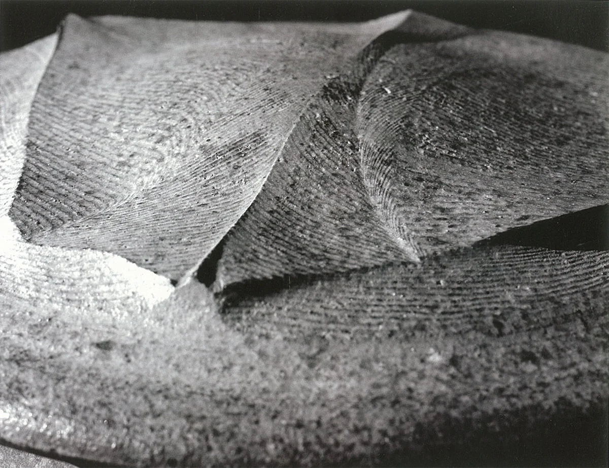 Cut-lid detail. Photo: Mark Shapiro