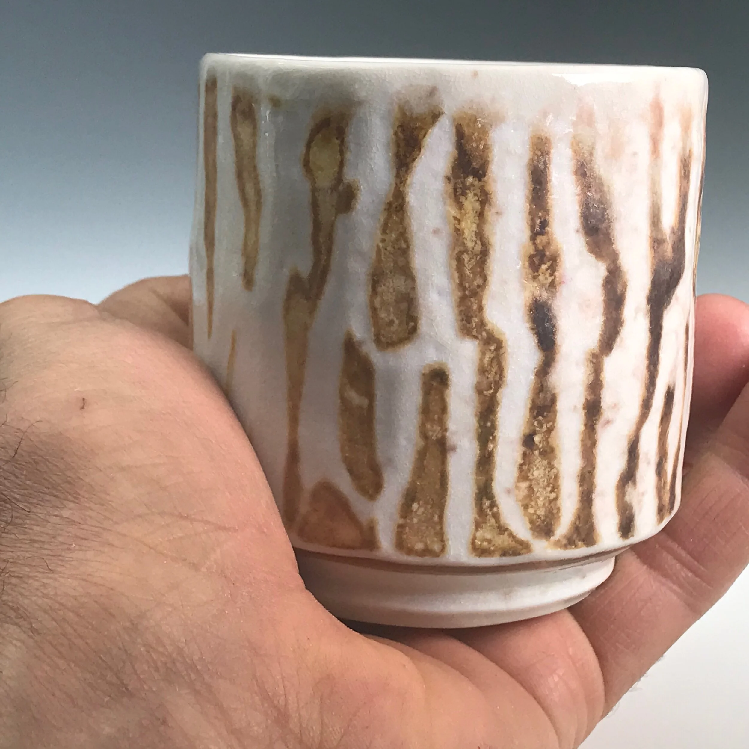 21F5D416-AF29-4BBF-9B34-749FF75293EB