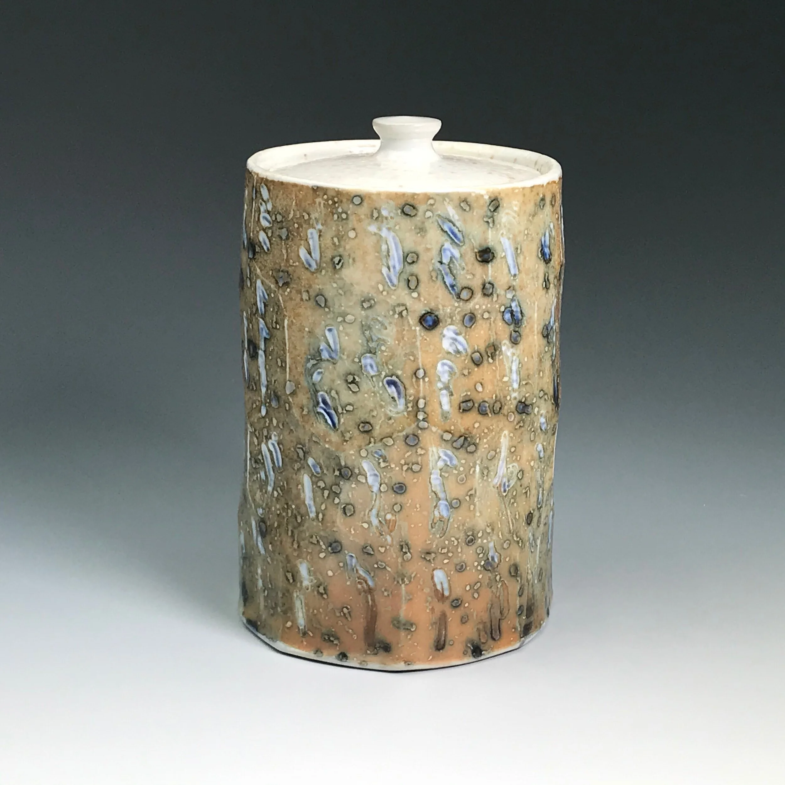 48906ADE-7EE8-4342-B7EF-B012D39143E6