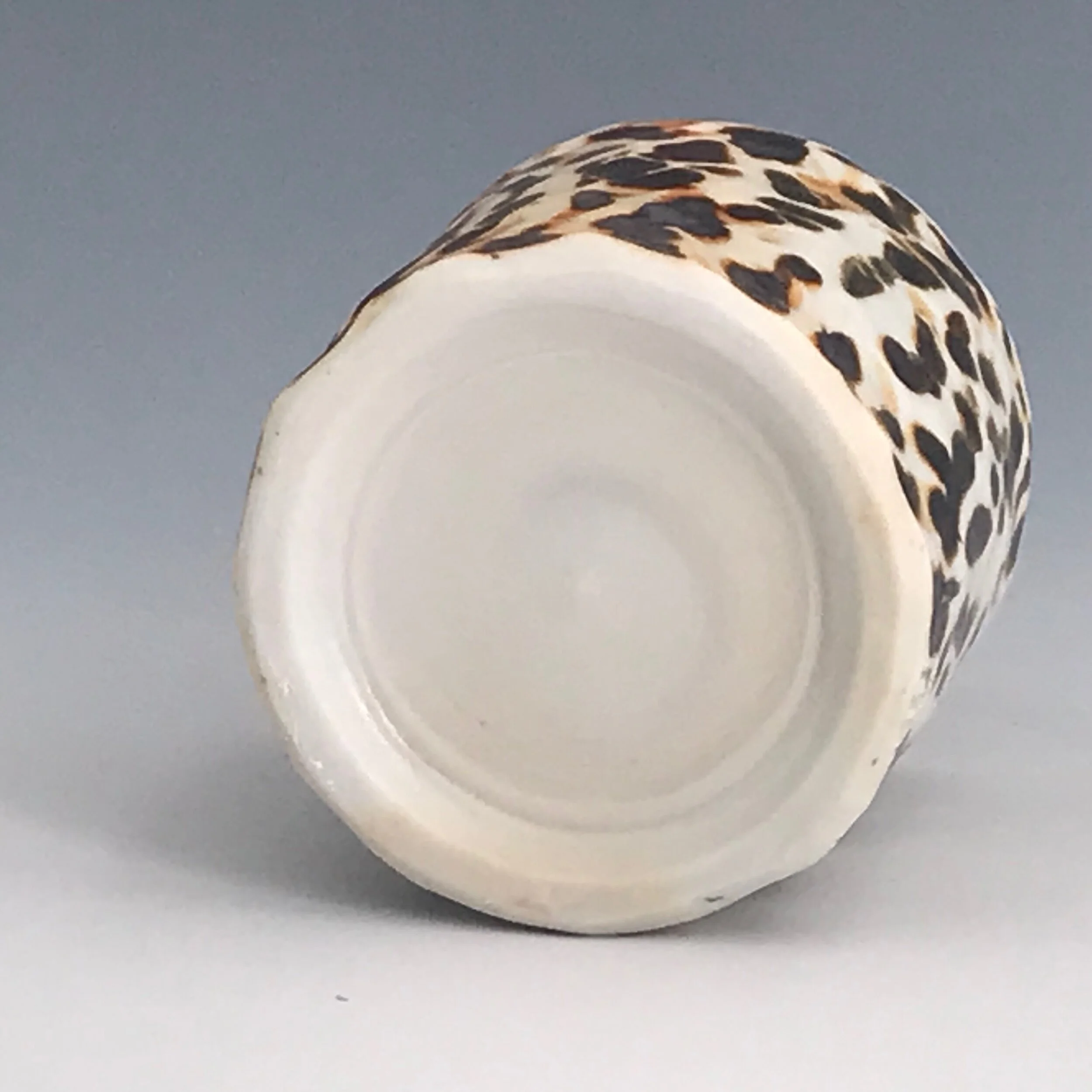 C6DF7B78-E5F3-44F2-8CC7-9D0445B8A588