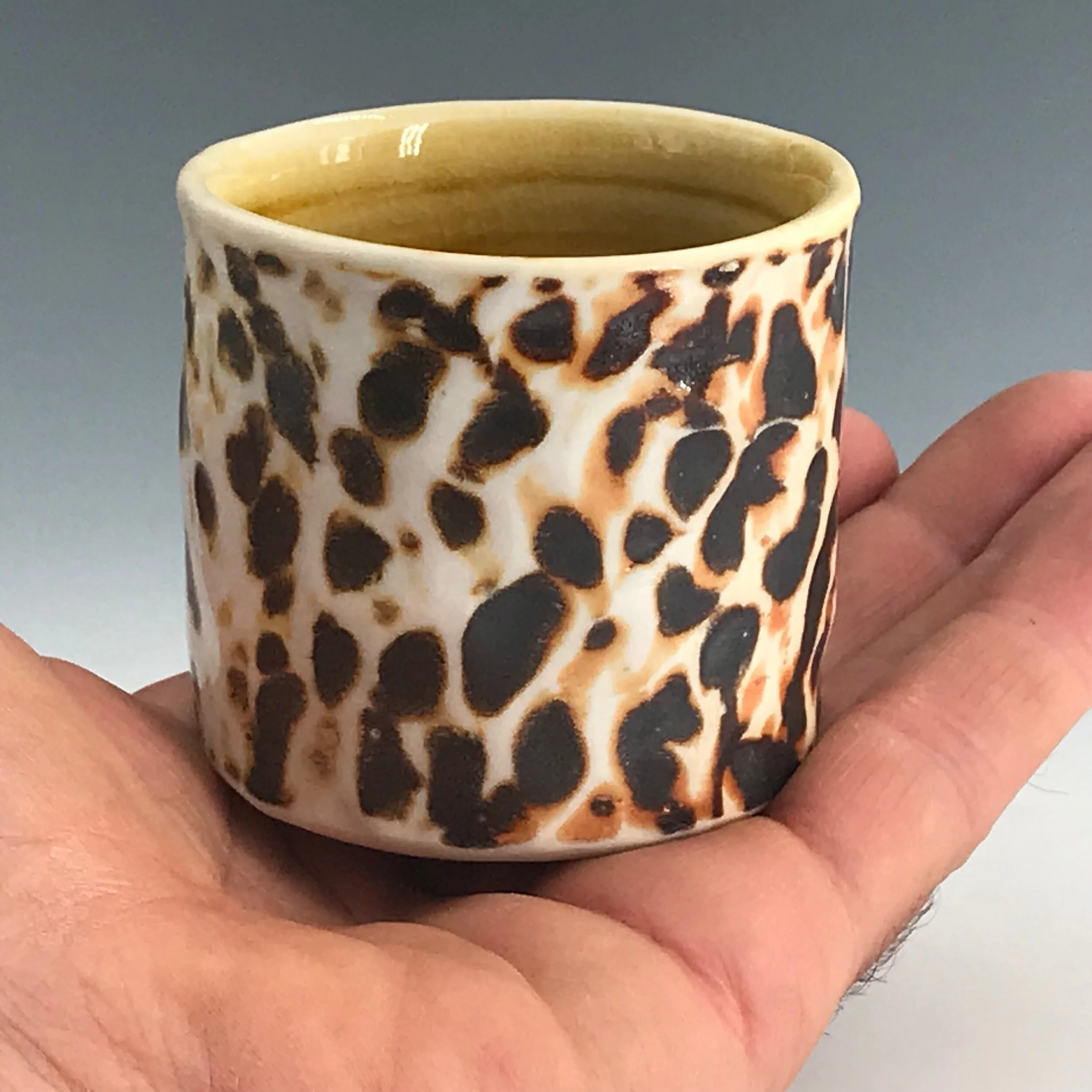 C389F2C3-DECA-4D36-93A8-DAEB75620F85