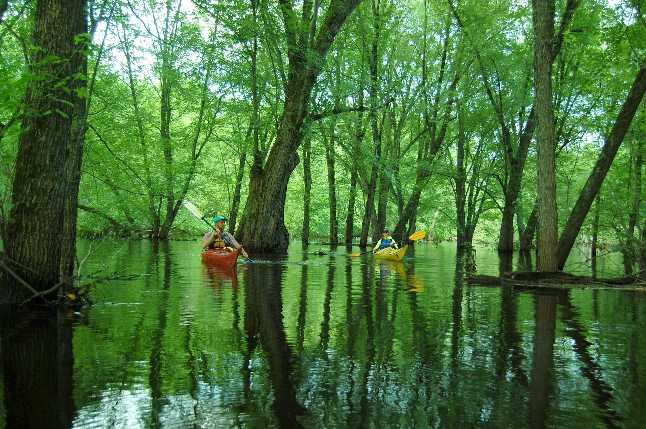The Driftless Explorer