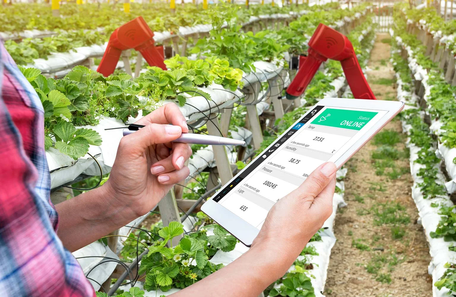 Supporting Farmers, Driving Food Security with IoT and Blockchain