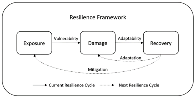 Resilience cycle.png