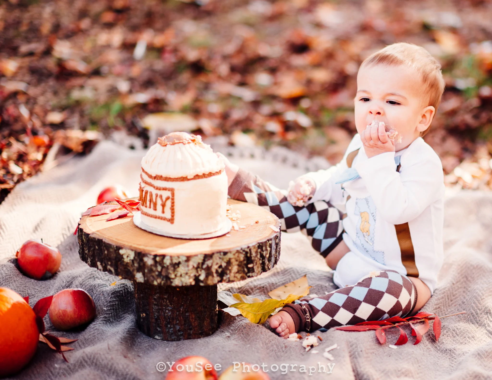 Winnie the Pooh Cake Smash 1st Birthday Session || Fall Family Photos || Fredericksburg Photographer