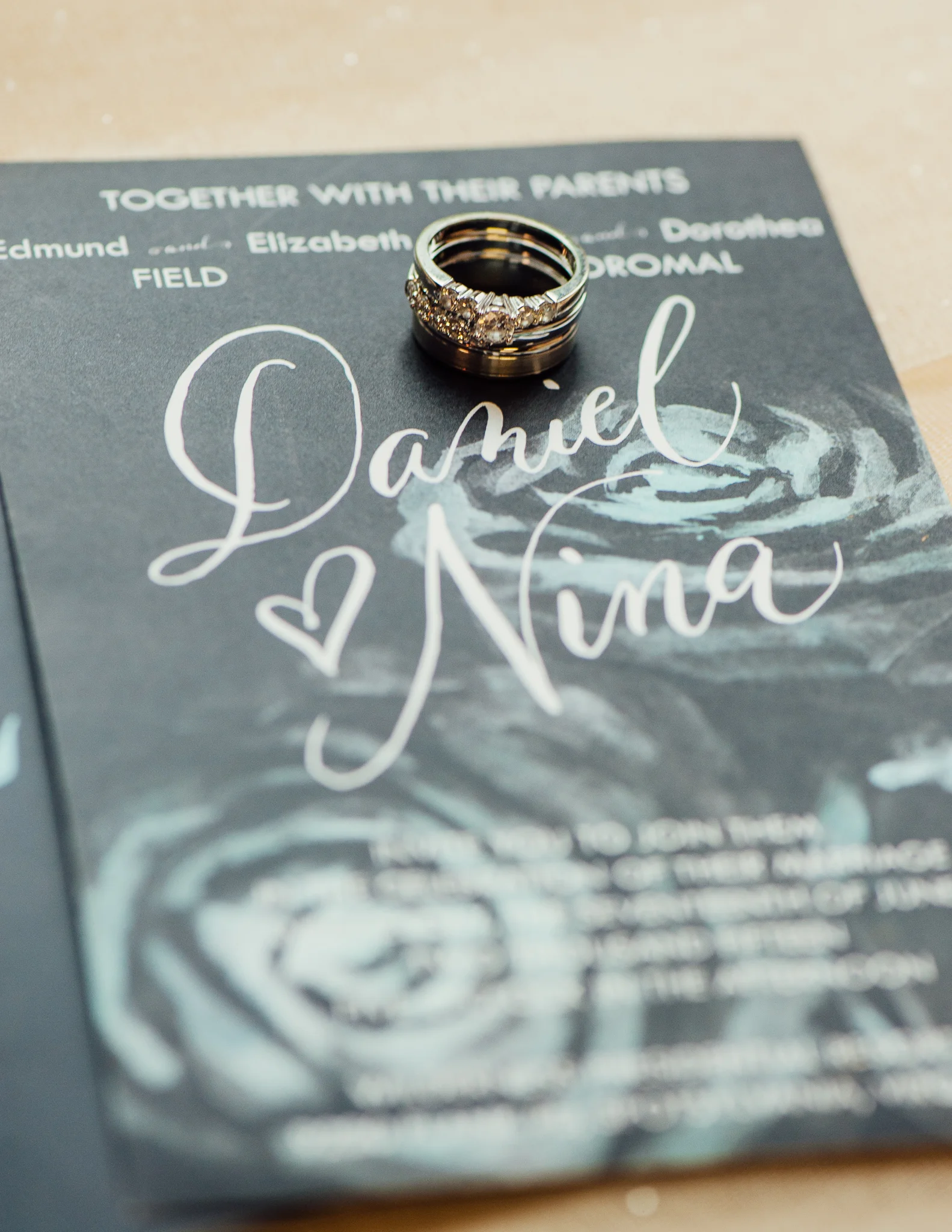 youseephotography_fredericksburgwedding_nina (7)