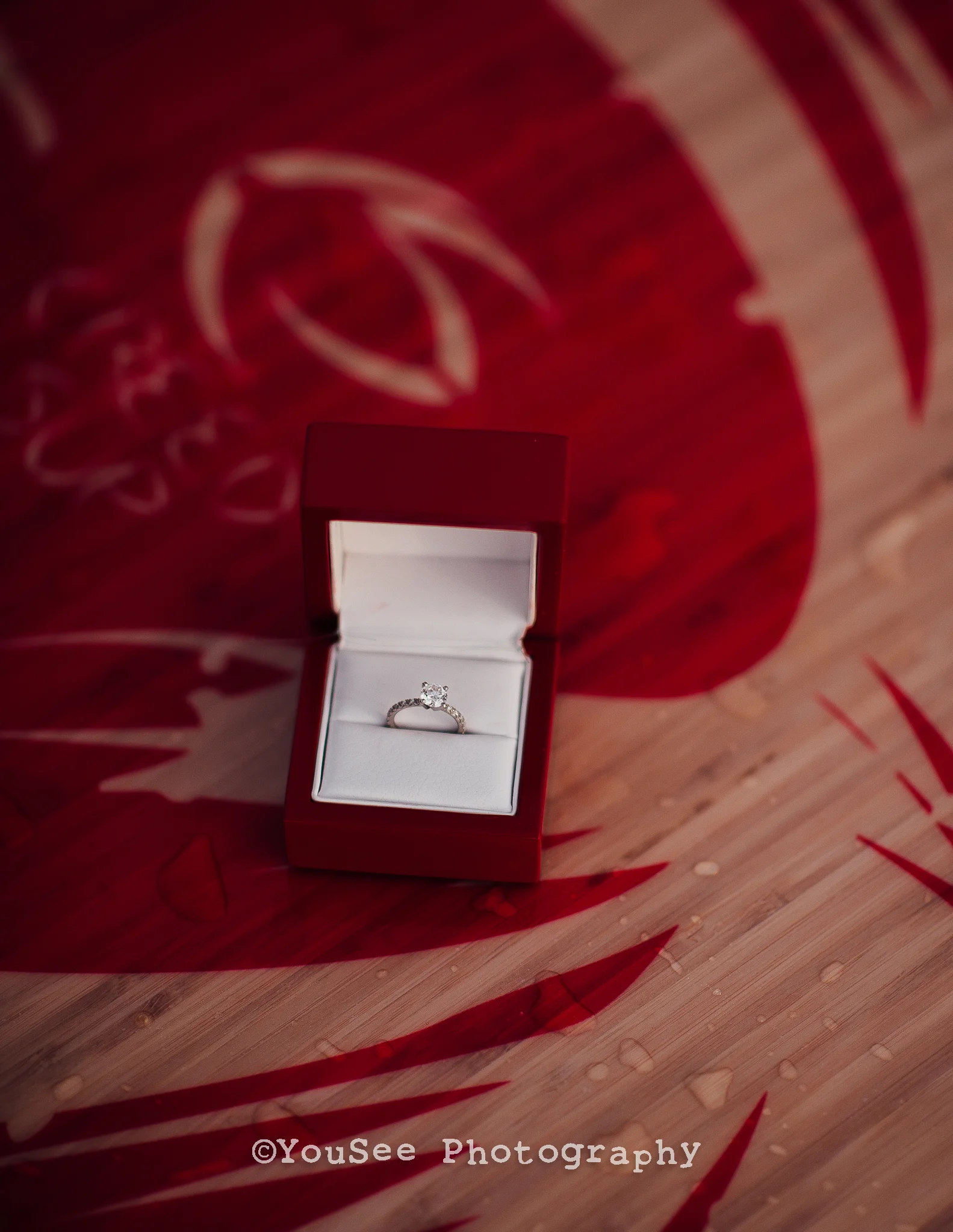occoquan_engagement (28)