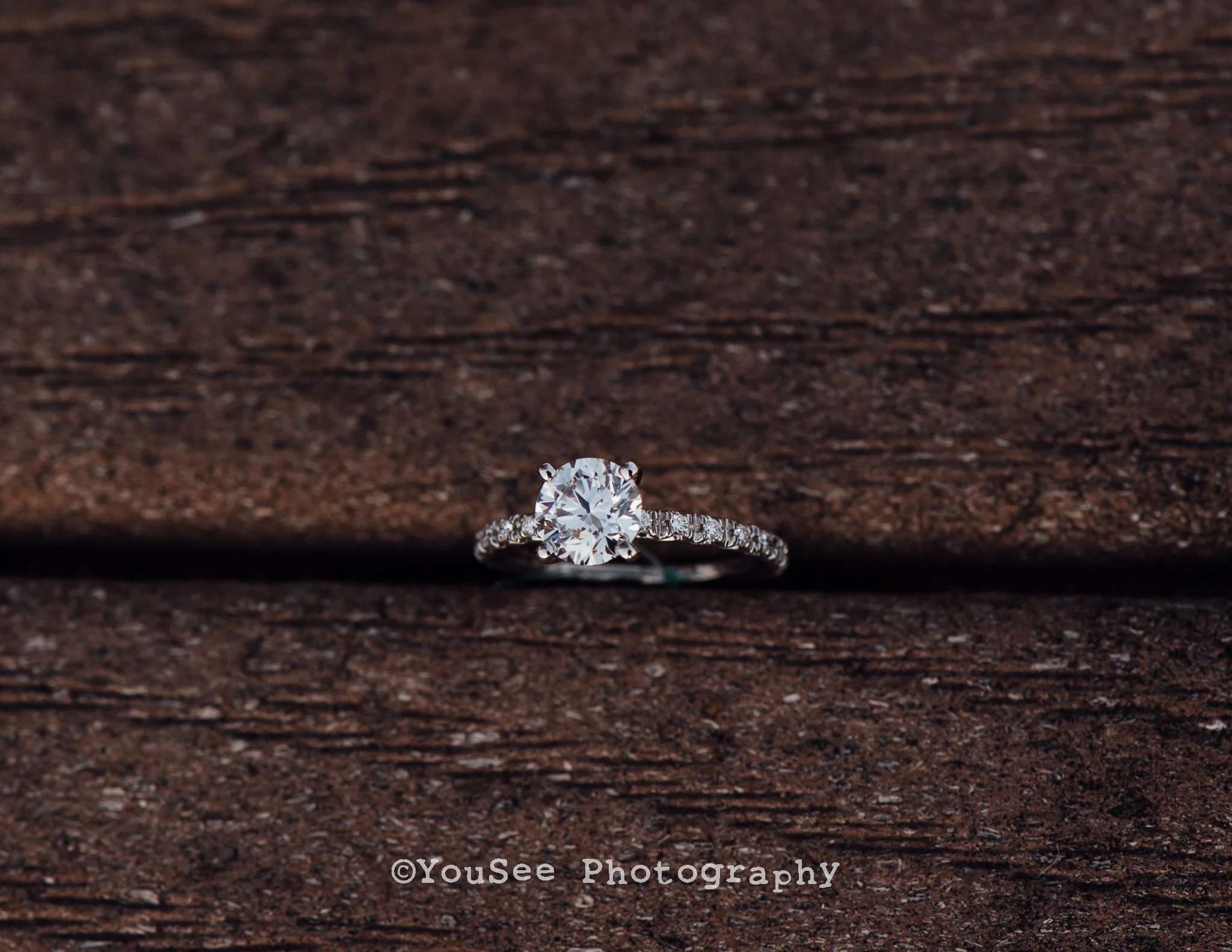 occoquan_engagement (29)