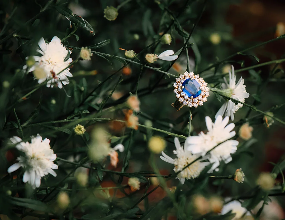 engagement_lewisginter_virginiaweddingphotographer_youseephotography_farrindan-13