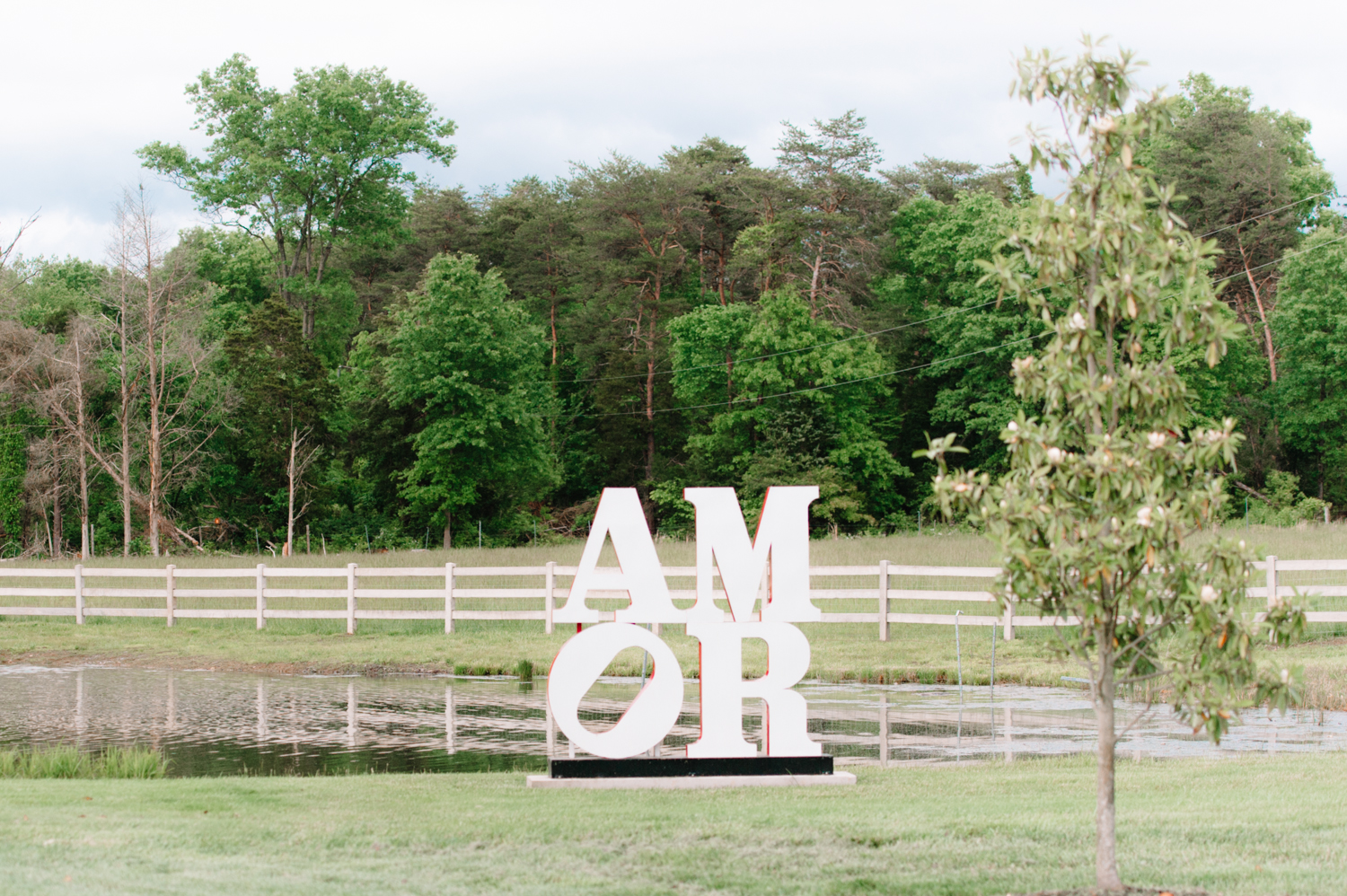 virginiawedding_moraisvineyards_youseephotography_kathleengeorge (73).jpg