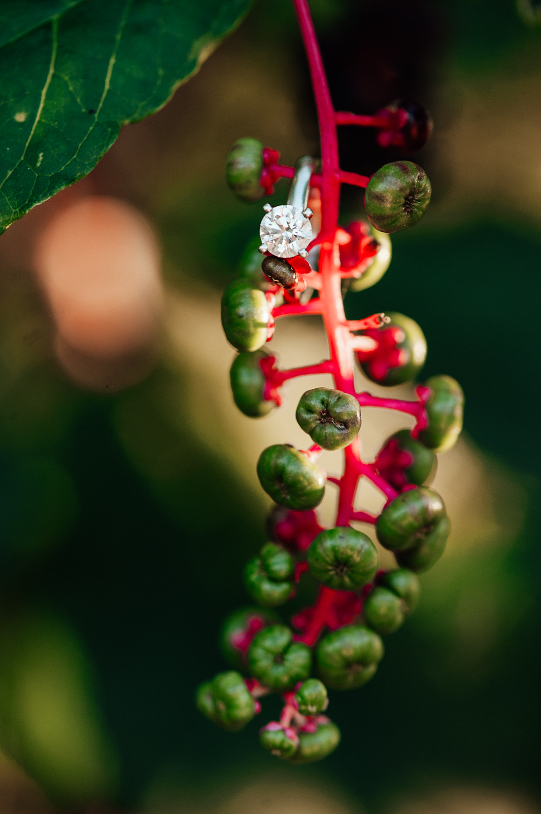 engagement_downtown_fredericksburg_virginiaweddingphotographer_youseephotography_HelenPaul (21).jpg