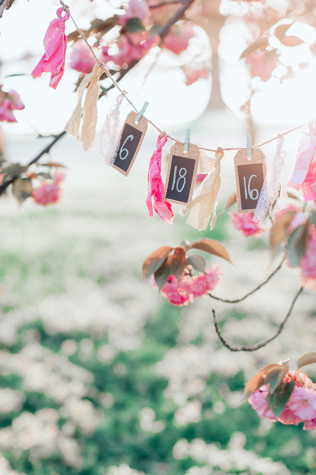 engagement_cherryblossoms_virginiaweddingphotographer_JanieHunter (14).jpg