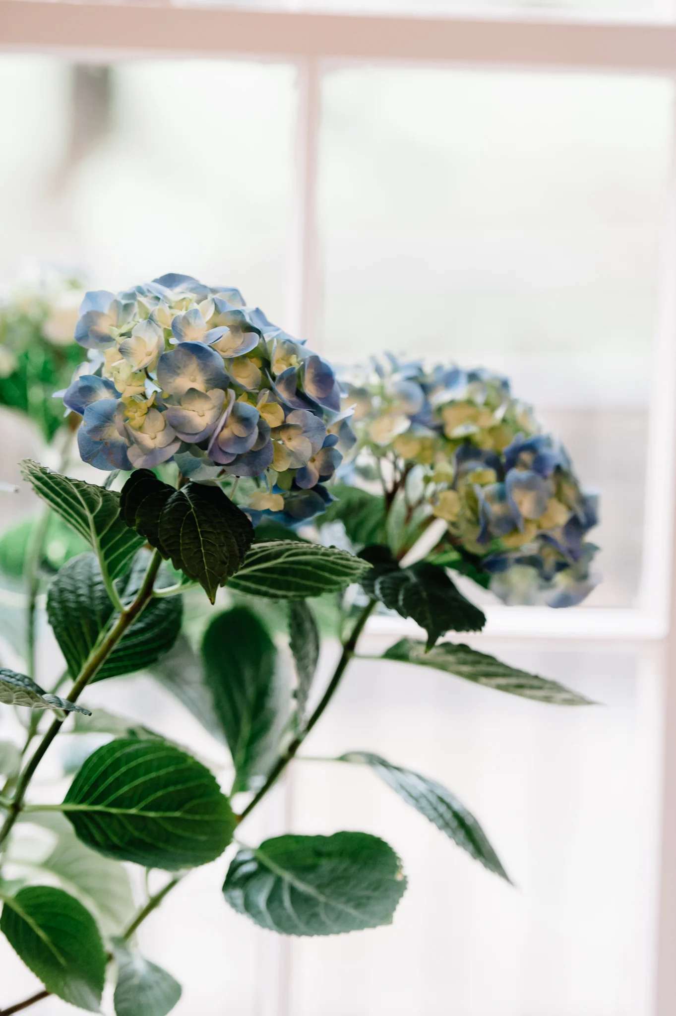 virginiawedding_rainwedding_CabellsMill_youseephotography_LizBen(58).jpg