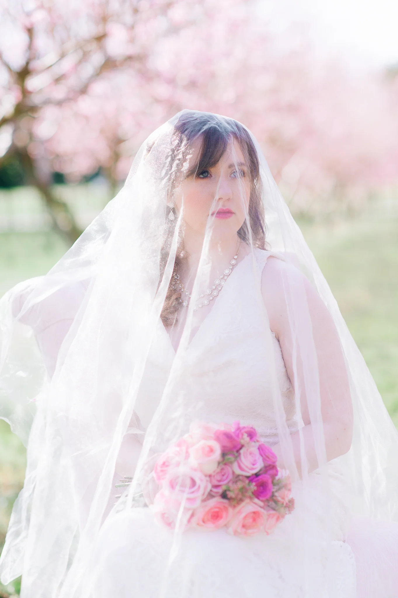 springwedding_cherryblossoms_virginiaphotographer_youseephotography_styledshoot (489).jpg
