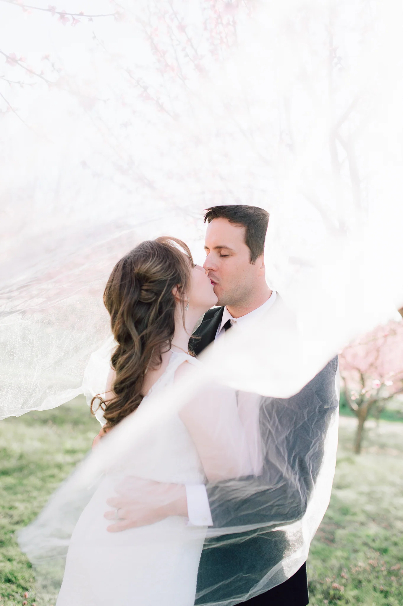 springwedding_cherryblossoms_virginiaphotographer_youseephotography_styledshoot (610).jpg