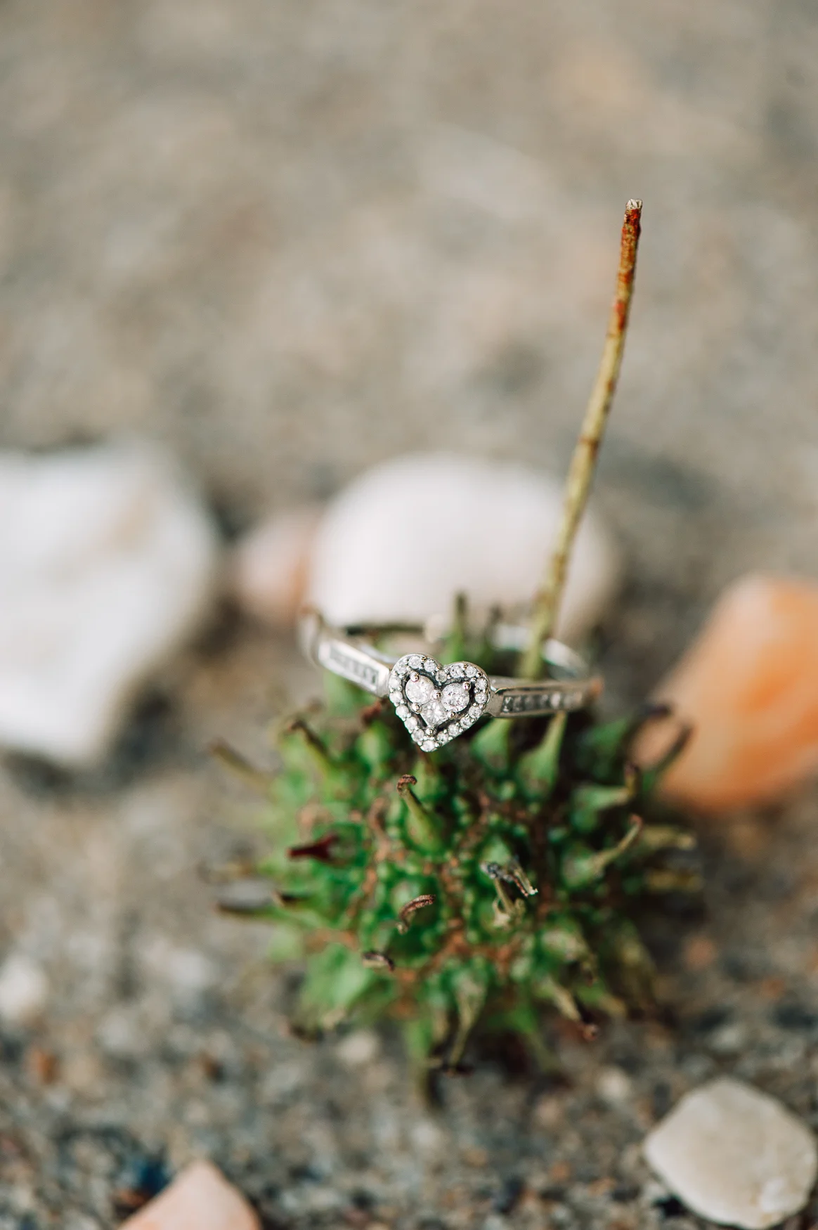 engagement_fredericksburg_virginiaweddingphotographer_beachphotos_youseephotography_DanielleQuintas (24).jpg