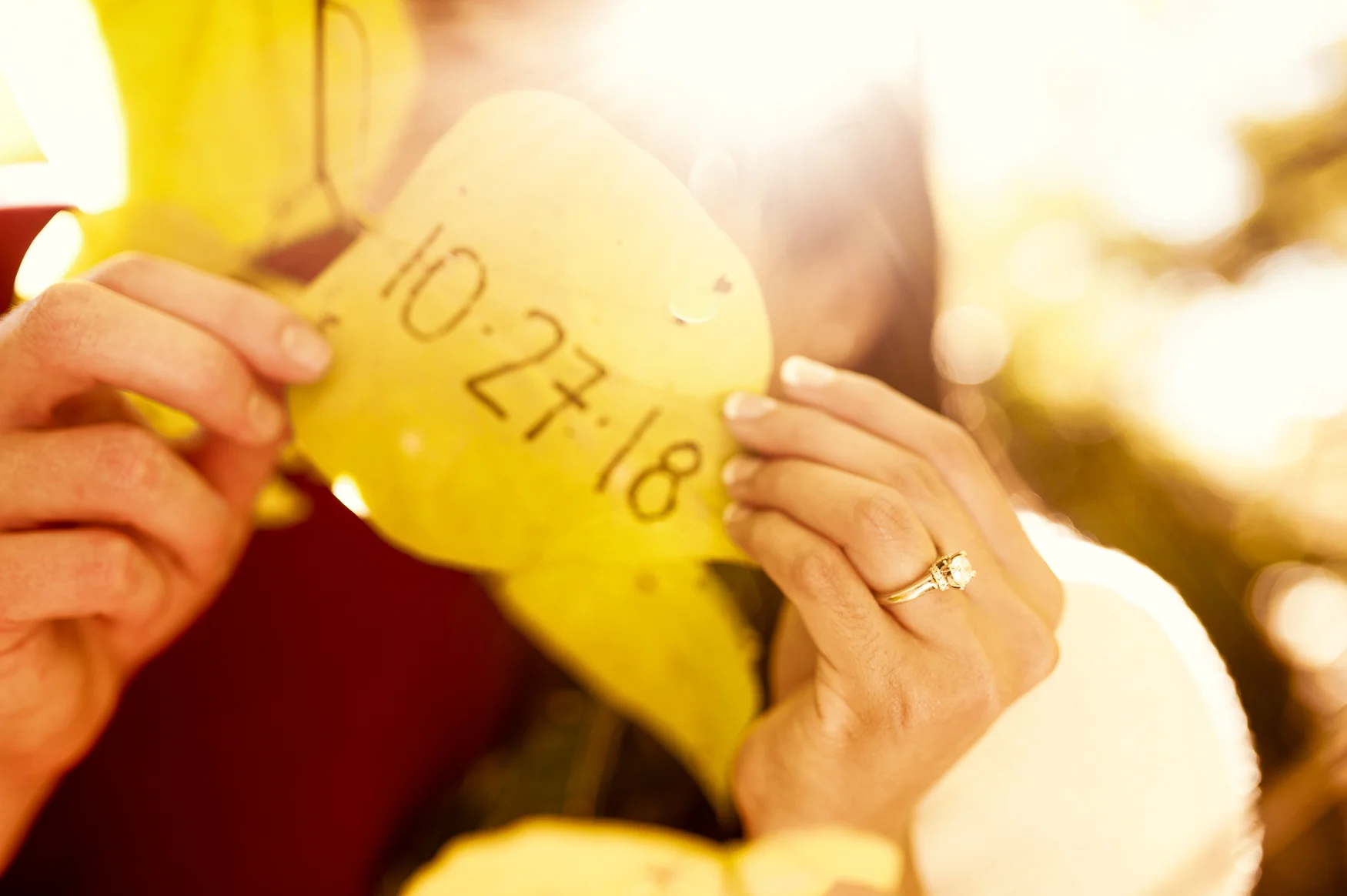 Fall_engagement_maymont_virginiawedding_youseephotography_CatherineCody (14).jpg