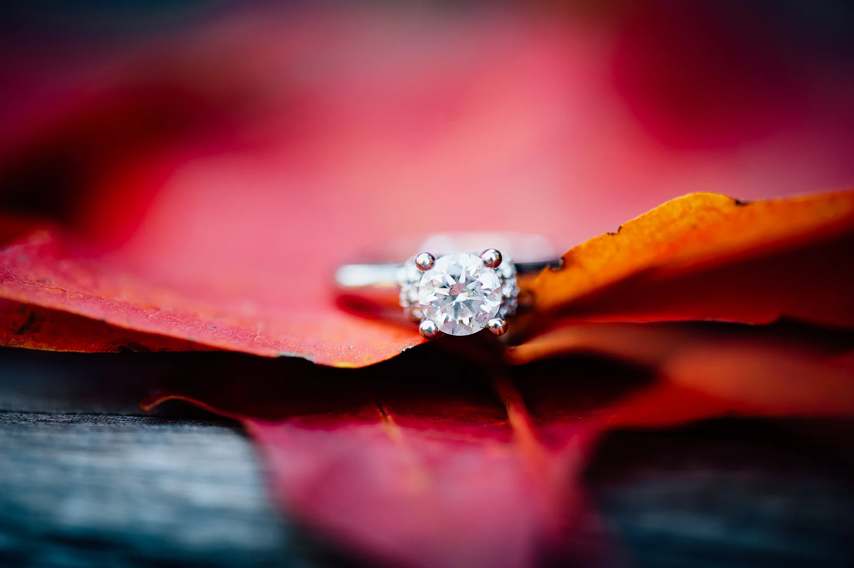 Fall_engagement_maymont_virginiawedding_youseephotography_CatherineCody (40).jpg