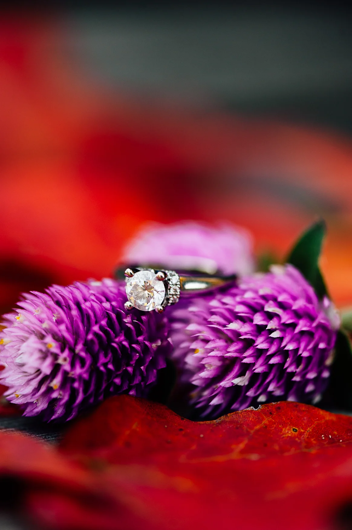 Fall_engagement_maymont_virginiawedding_youseephotography_CatherineCody (42).jpg
