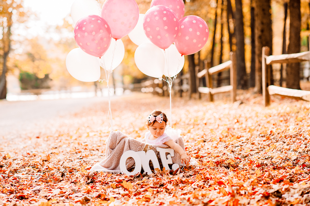 Fall Outdoor Cake Smash in Woodbridge, VA — YouSee Photography ...