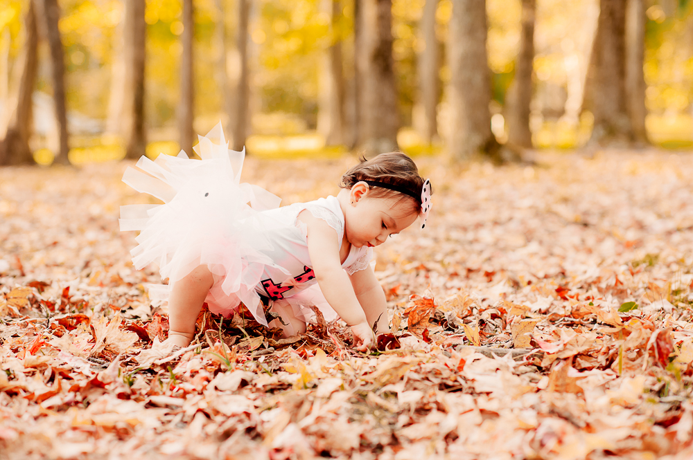 CakeSmash_Fall_FredericksburgPhotographer_youseephotography_babyTalya (13).JPG