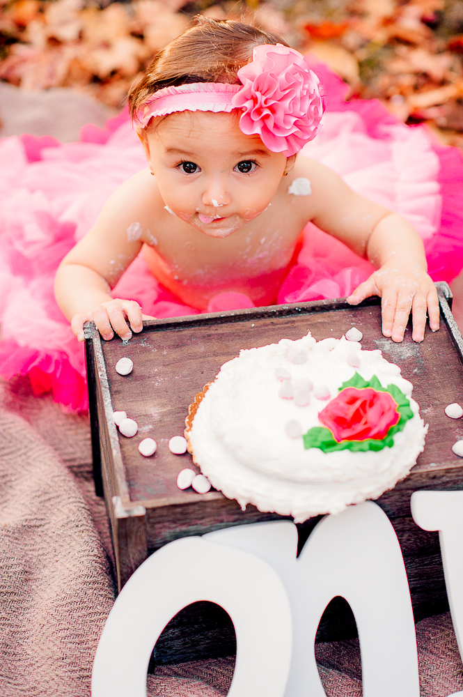 CakeSmash_Fall_FredericksburgPhotographer_youseephotography_babyTalya (25).JPG