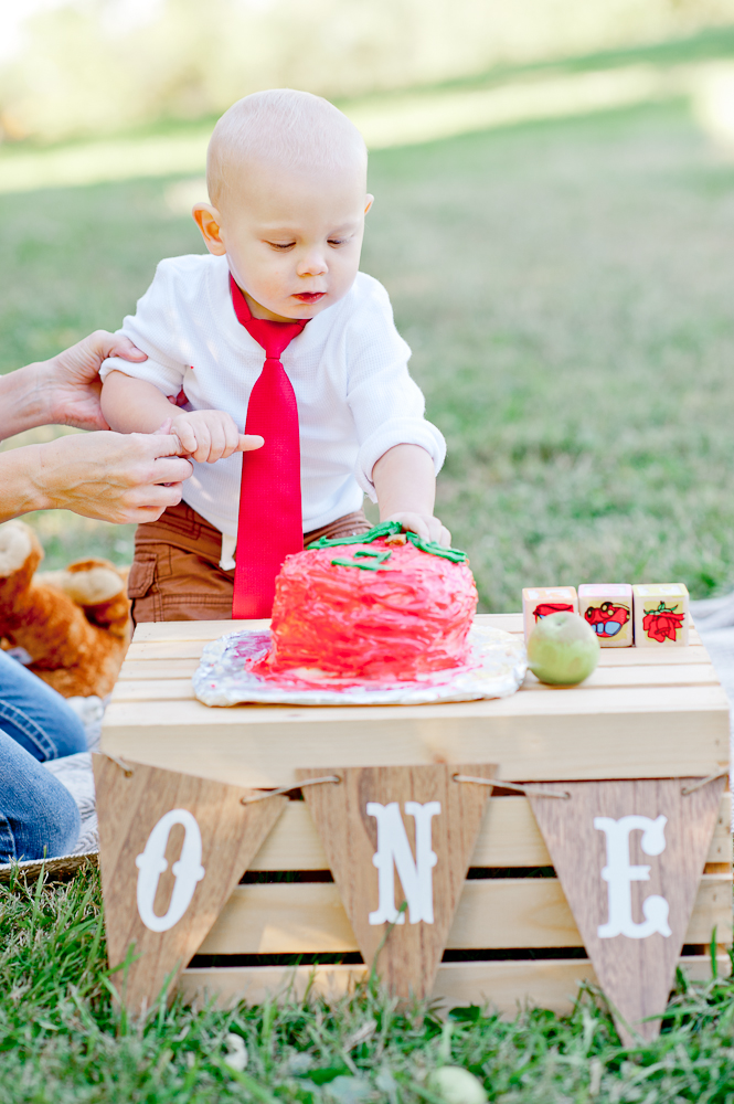 CakeSmash_FredericksburgPhotographer_youseephotography_JoyFamily (8).jpg