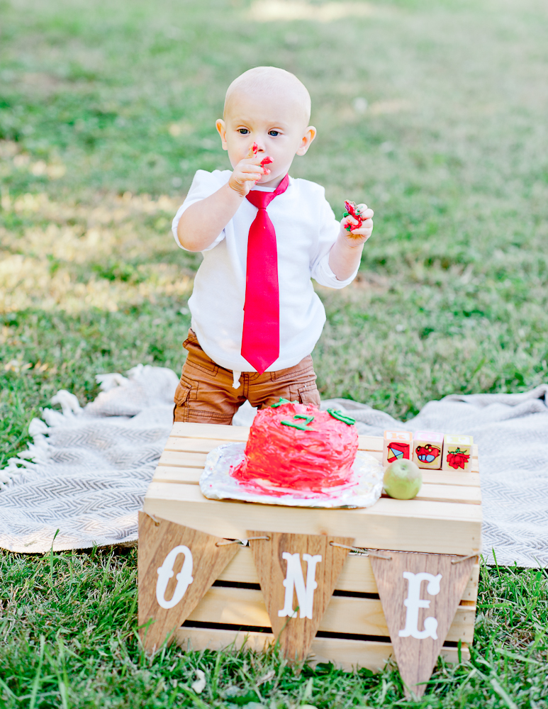 CakeSmash_FredericksburgPhotographer_youseephotography_JoyFamily (10).jpg