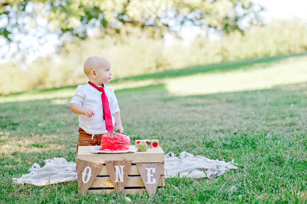 CakeSmash_FredericksburgPhotographer_youseephotography_JoyFamily (11).jpg