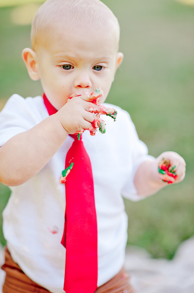 CakeSmash_FredericksburgPhotographer_youseephotography_JoyFamily (13).jpg