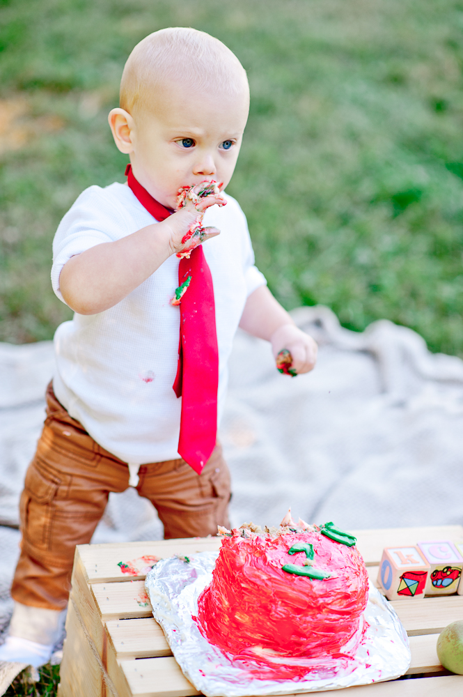 CakeSmash_FredericksburgPhotographer_youseephotography_JoyFamily (19).jpg