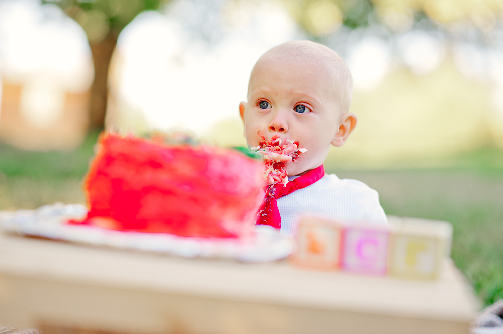 CakeSmash_FredericksburgPhotographer_youseephotography_JoyFamily (24).jpg