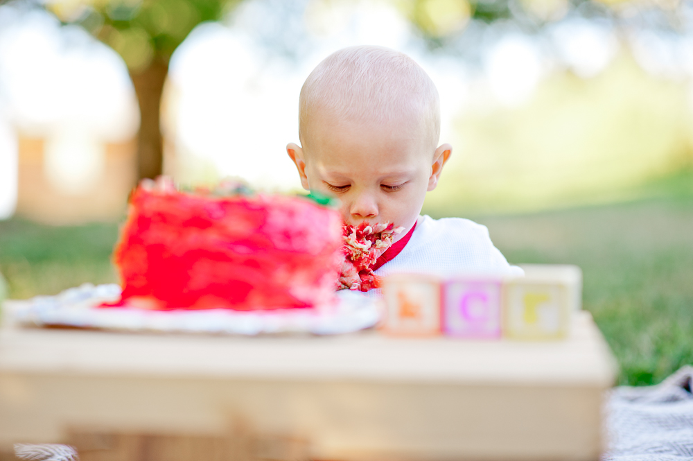 CakeSmash_FredericksburgPhotographer_youseephotography_JoyFamily (25).jpg