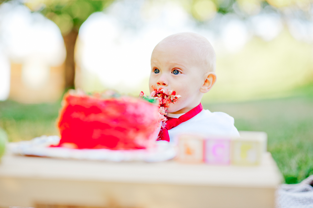 CakeSmash_FredericksburgPhotographer_youseephotography_JoyFamily (26).jpg