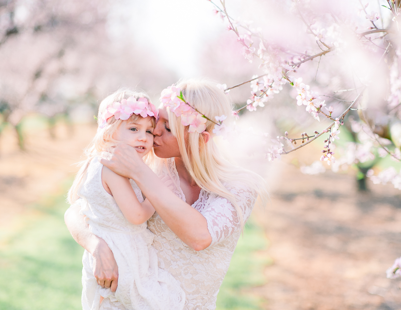 Cherry Blossom Family Pictures in Fredericksburg, VA — YouSee ...